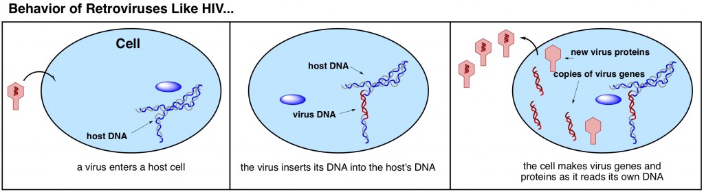 how do retroviruses work