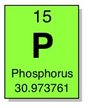 phosphorus arsenic bacteria