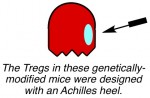 HIV Suppresses Immune System Tregs CD8+ T Cells