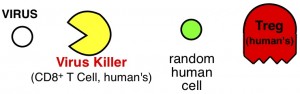 HIV Suppresses Immune System Tregs CD8+ T Cells