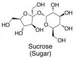 sugar structure glucose fructose sucrose artificial sweetener