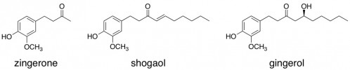 Ginger tea flavor molecules