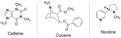 alkaloids not in fire ant venom