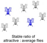 natural selection male attractiveness