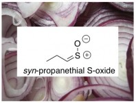 syn-propanethial S-oxide chemistry of salsa onions