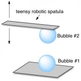 co2 bubbles coalescing in beer