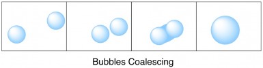 co2 bubbles in beer or soda
