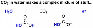 co2 bubbles in beer carbonic acid bicarbonate