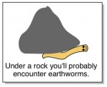 unless you've been living under a rock earthworm