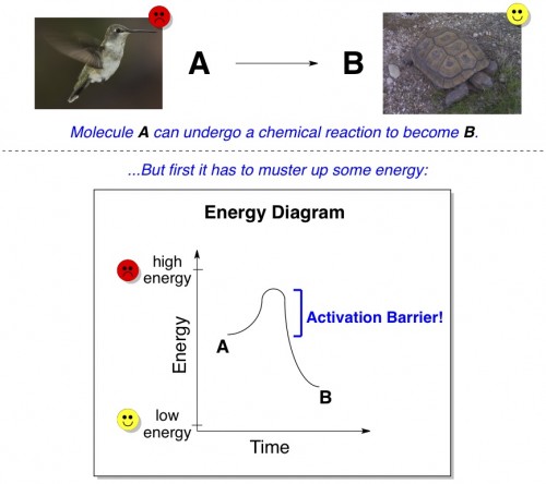 activation barrier energy diagram 2nd law of thermodynamics