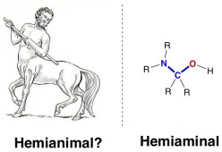 aminal metathesis