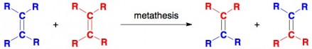 olefin metathesis aminal animal