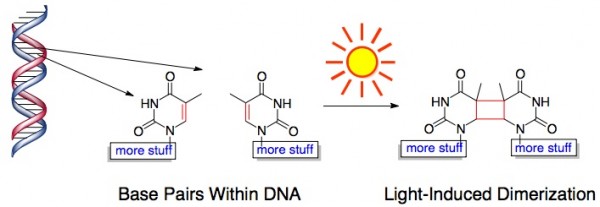 sunshine chemistry
