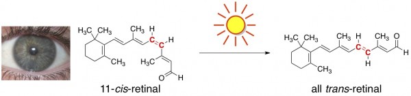 sunshine chemistry