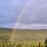 rainbow light is not a chemical