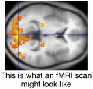 Fidelity of neural reactivation reveals competition between memories