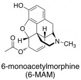 6-MAM heroin metabolite chemical structure