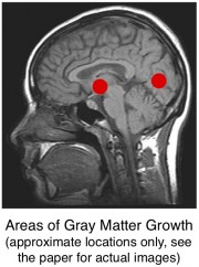 color names increase gray matter volume