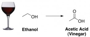 ethanol acetica acid sour wine vinegar