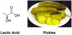 lactic acid chemical structure sour pickles