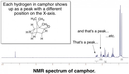nuclear magnetic resonance spectrum camphor