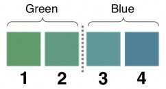 color names increase gray matter volume