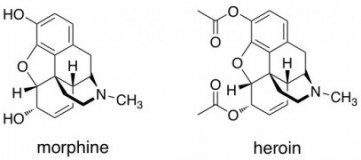 Morphine Molecule Structure