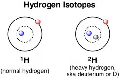 deuterated mouse heavy isotopes